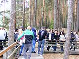 DSCF7707